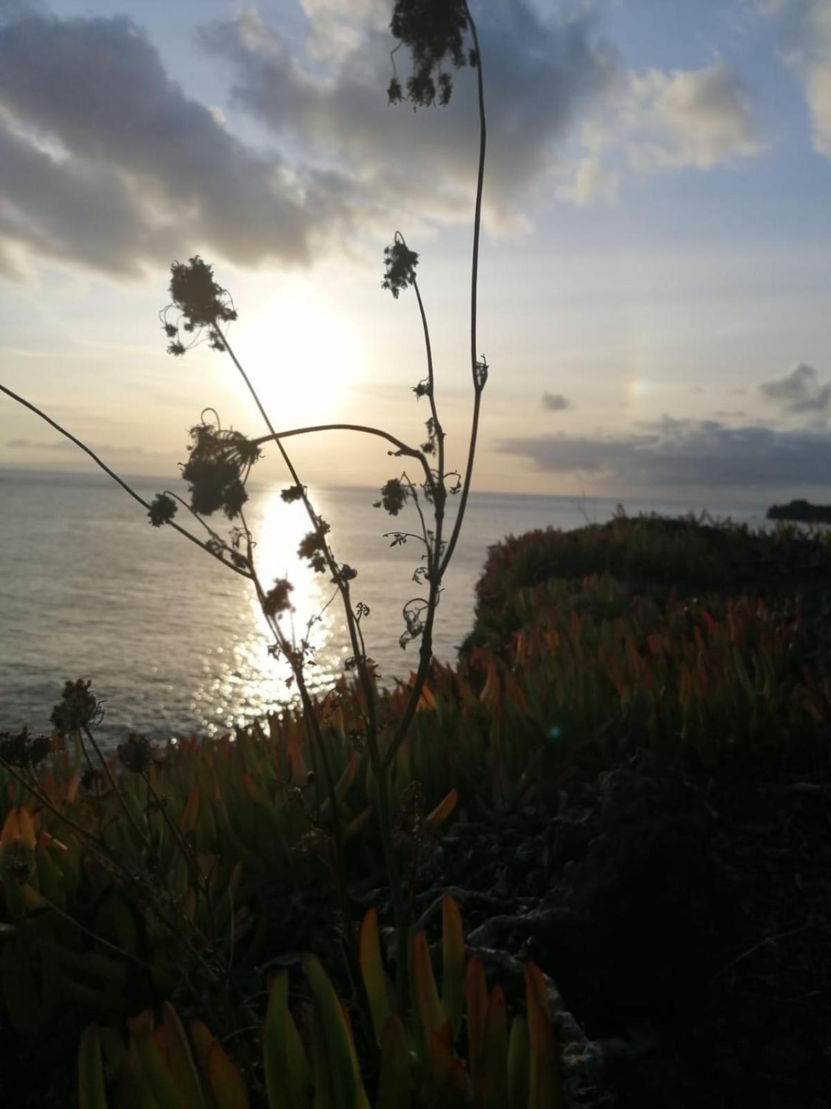 Apartmán O Antigo Lagar Cinco Ribeiras Exteriér fotografie